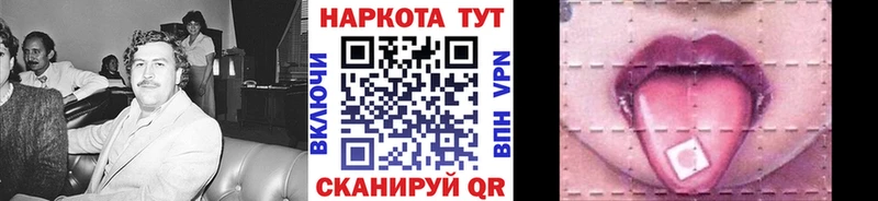Псилоцибиновые грибы Тара