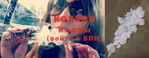 дживик Дрезна