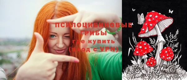 a pvp Осинники