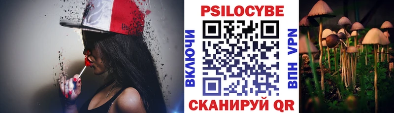 где купить наркотик  Тара  hydra вход  Псилоцибиновые грибы MAGIC MUSHROOMS 