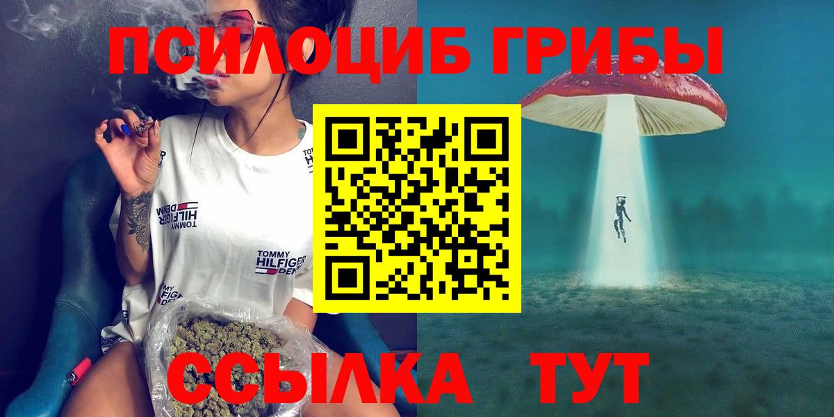Тара  где можно купить наркотик  Галлюциногенные грибы ЛСД  Вход с VPN  Галлюциногенные грибы Cubensis 