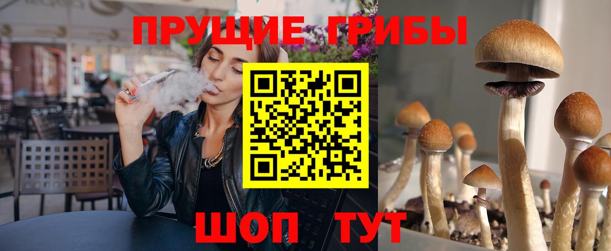 Галлюциногенные грибы прущие грибы Тара